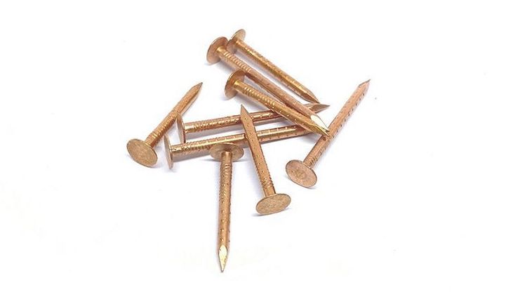 Nails Img